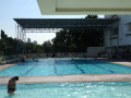 swimming-pool-sukhumvit-71-sports-club.png
